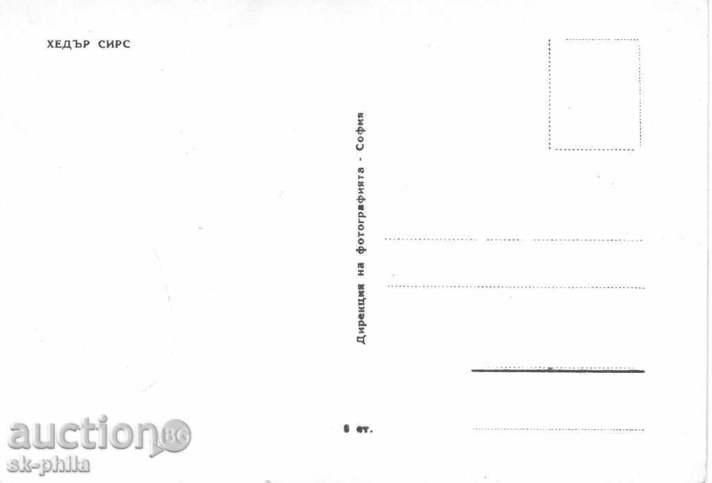 Old postcard artists - Hyder Sirs with price 1.20 BGN | € 0.61 Old postcard artists - Hyder Sirs with price 1.20 BGN | € 0.61