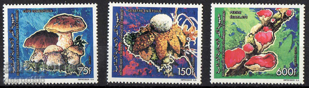 1992. Comoros Islands. Mushrooms and mussels.