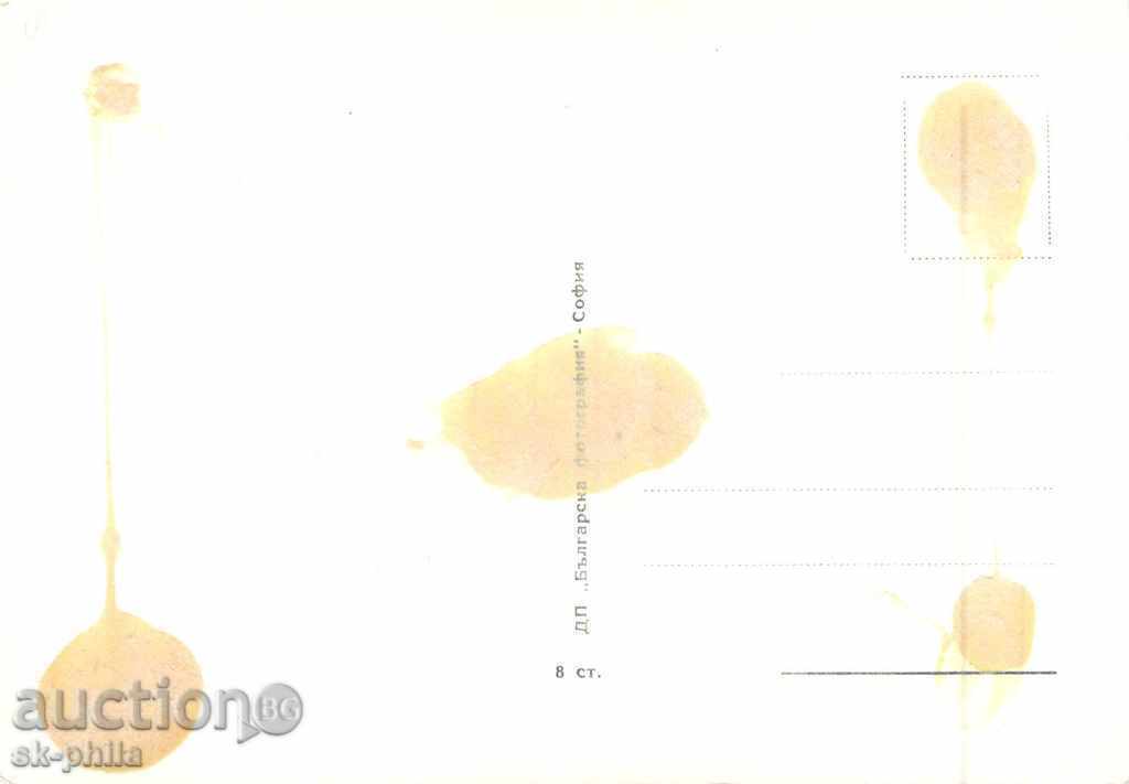 Old postcard artists - Raj Kapor with price 0.40 BGN | € 0.20