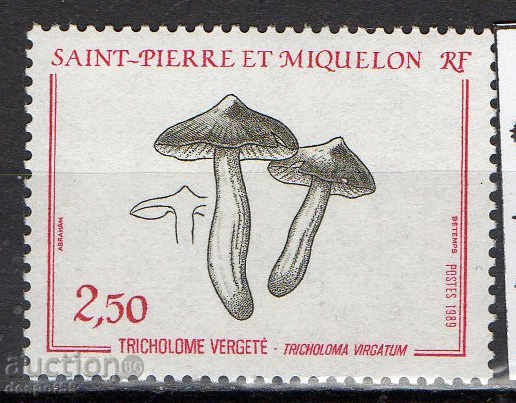 1989. Saint Pierre and Miquelon. Mushrooms.