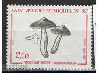 1989 Saint-Pierre și Miquelon. Ciuperci.