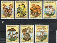 1985. Burkina Faso. Mushrooms.