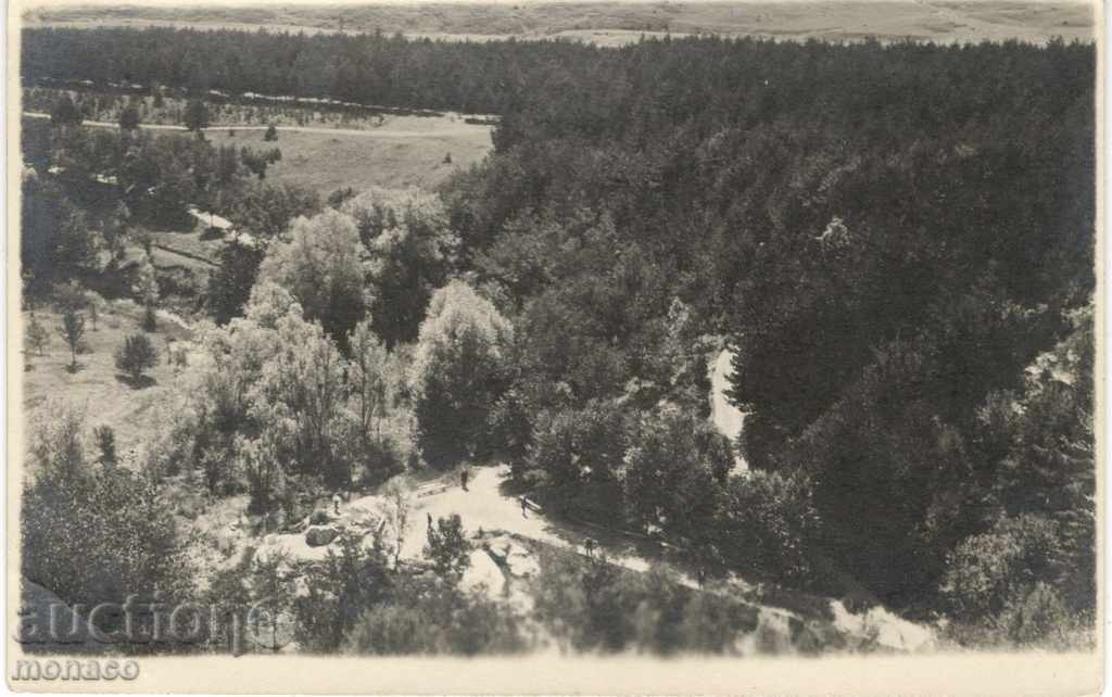 Old post card - Kotel - road to the springs