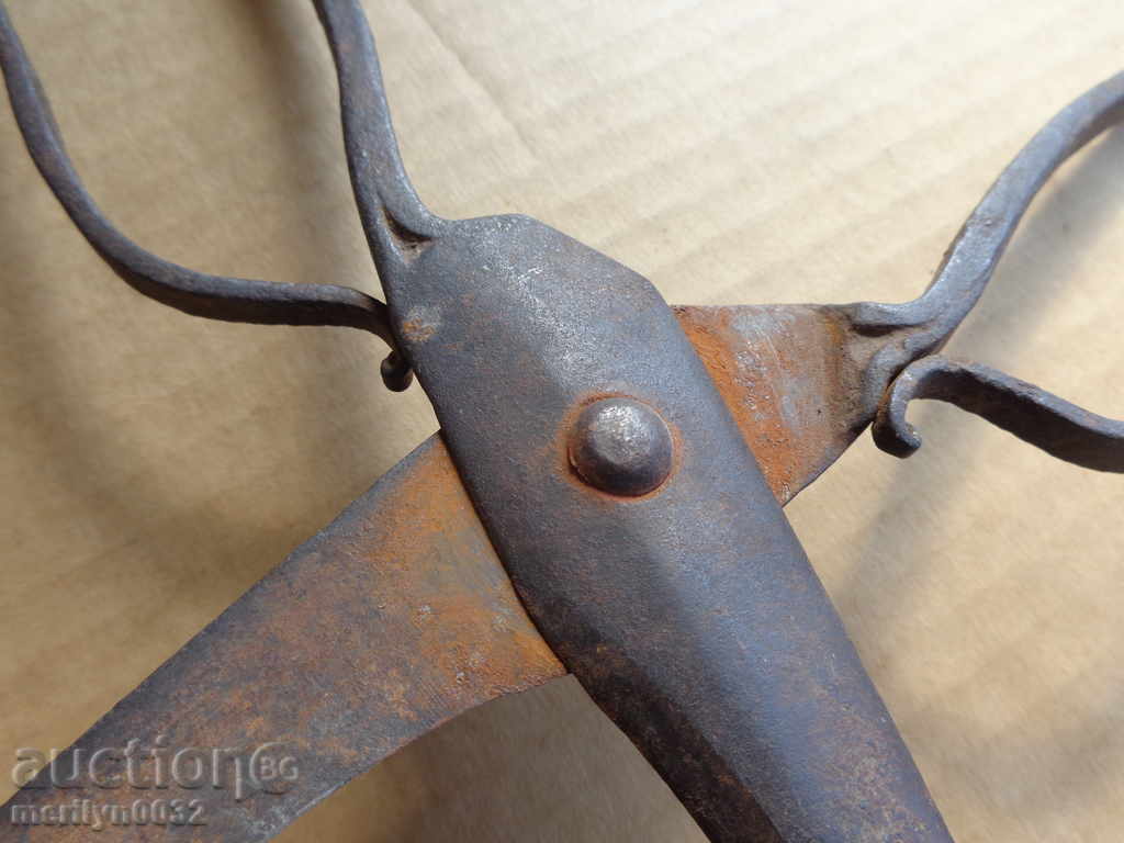 foarfece Renaissance forjate, fier - 5