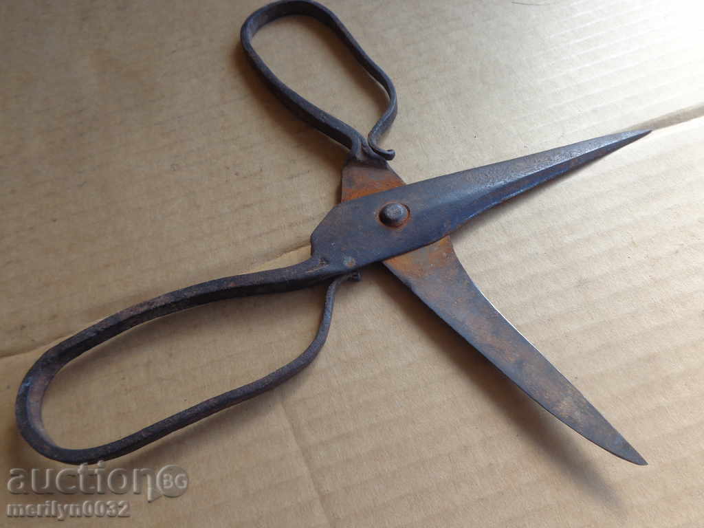 foarfece Renaissance forjate, fier - 7