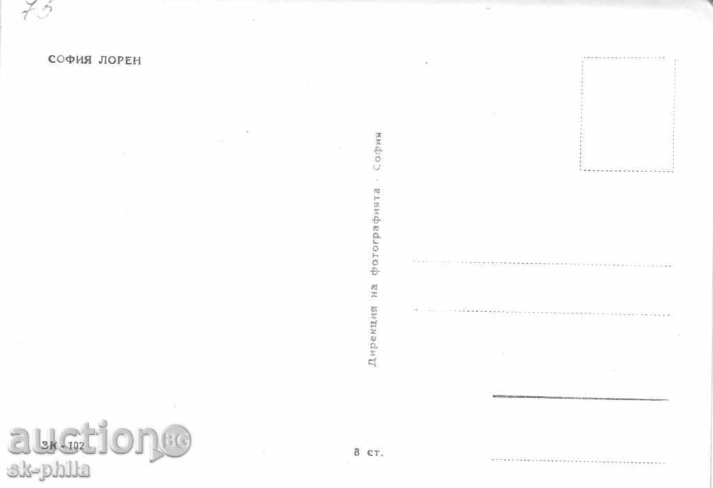 Old postcard artists - Sofia Loren with price 1.00 BGN | € 0.51 Old postcard artists - Sofia Loren with price 1.00 BGN | € 0.51