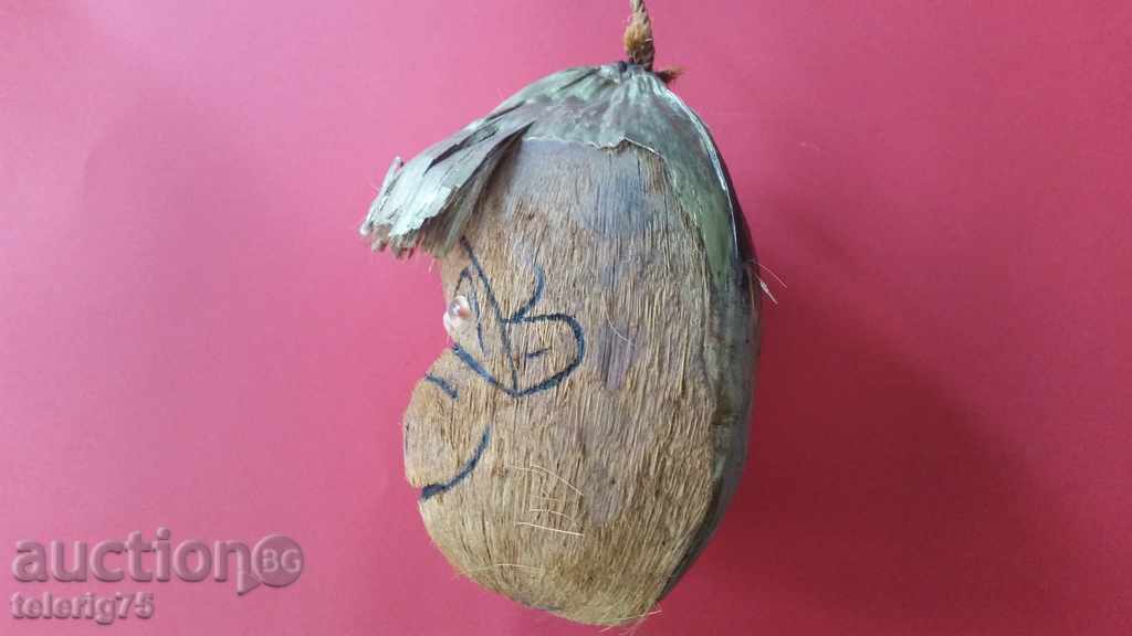 Πίθηκος καρύδας για διακόσμηση με τιμή 10.00 BGN | € 5.11 Πίθηκος καρύδας για διακόσμηση με τιμή 10.00 BGN | € 5.11