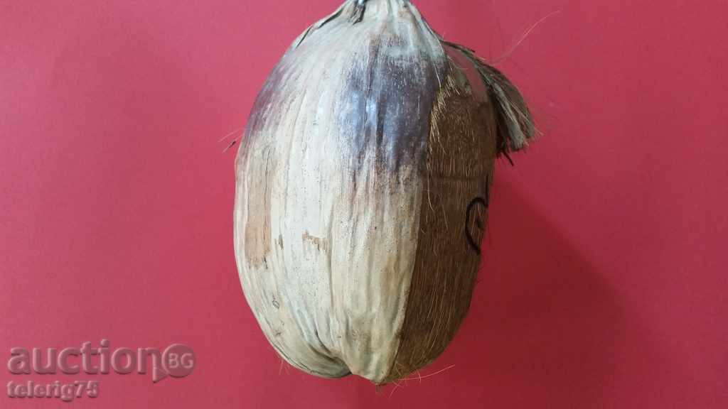 Δημοπρασία Πίθηκος καρύδας για διακόσμηση Δημοπρασία Πίθηκος καρύδας για διακόσμηση