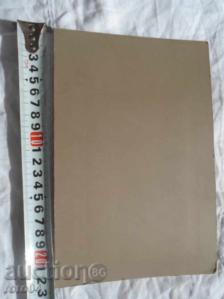 KNOWLEDGE Mistress - CITY TYPE - 5 KNOWLEDGE Mistress - CITY TYPE - 5