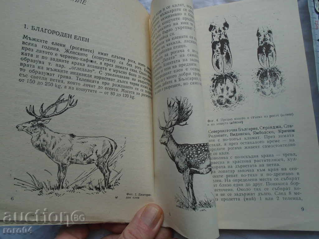 Delivery of CANDIDATE STUDY LOOK - 1985 EXCELLENT STATE Delivery of CANDIDATE STUDY LOOK - 1985 EXCELLENT STATE