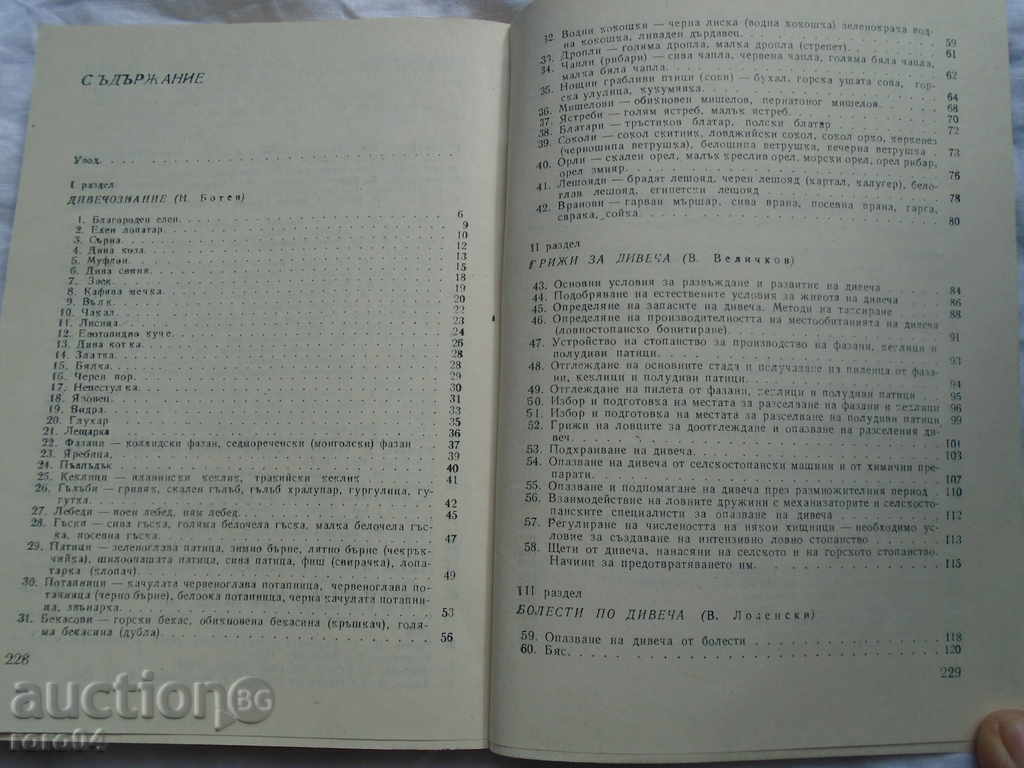 CANDIDATE STUDY LOOK - 1985 EXCELLENT STATE - 5 CANDIDATE STUDY LOOK - 1985 EXCELLENT STATE - 5