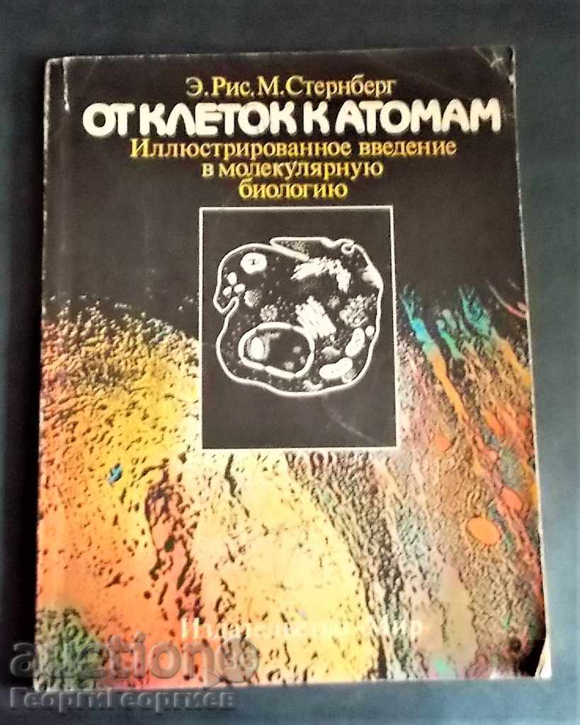 BY atomi KLETOK K - Э.RIS, M.STERNBERG