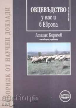 Sheep breeding in Bulgaria and in Europe