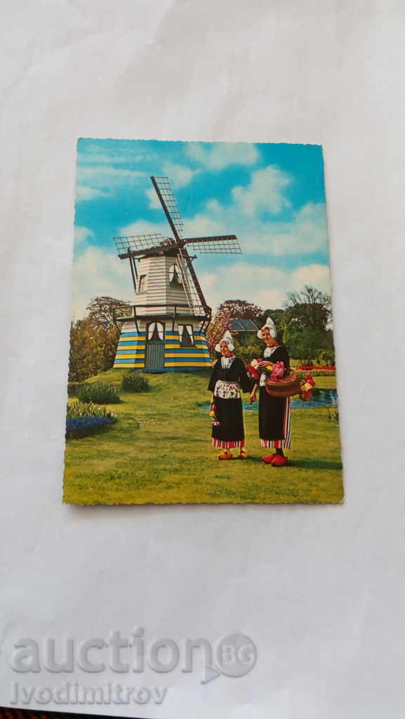 Postcard Holland Land of Flowers and Windmills
