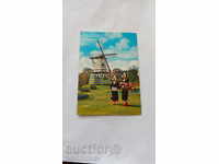 Postcard Holland Land of Flowers and Windmills