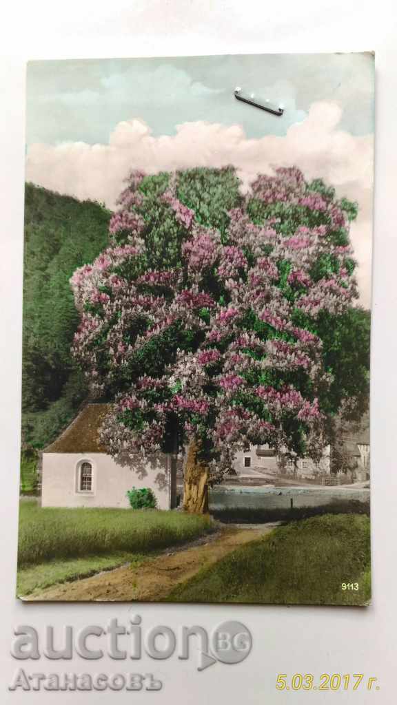 Картичка София 1947 г. Честита пролет