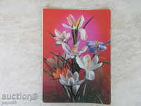 Σοβιετική καρτ-ποστάλ - 1984.