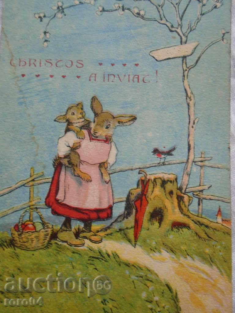 STAR POSTED CARD - EASTERN - 6 STAR POSTED CARD - EASTERN - 6