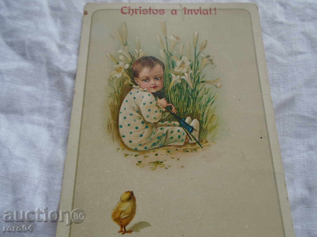 STAR POSTED CARD - EASTERN - 6 STAR POSTED CARD - EASTERN - 6