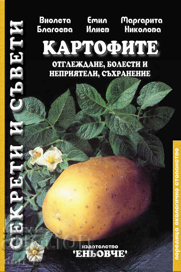 Potatoes: Growing, diseases and pests, storage