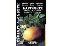 Potatoes: Growing, diseases and pests, storage