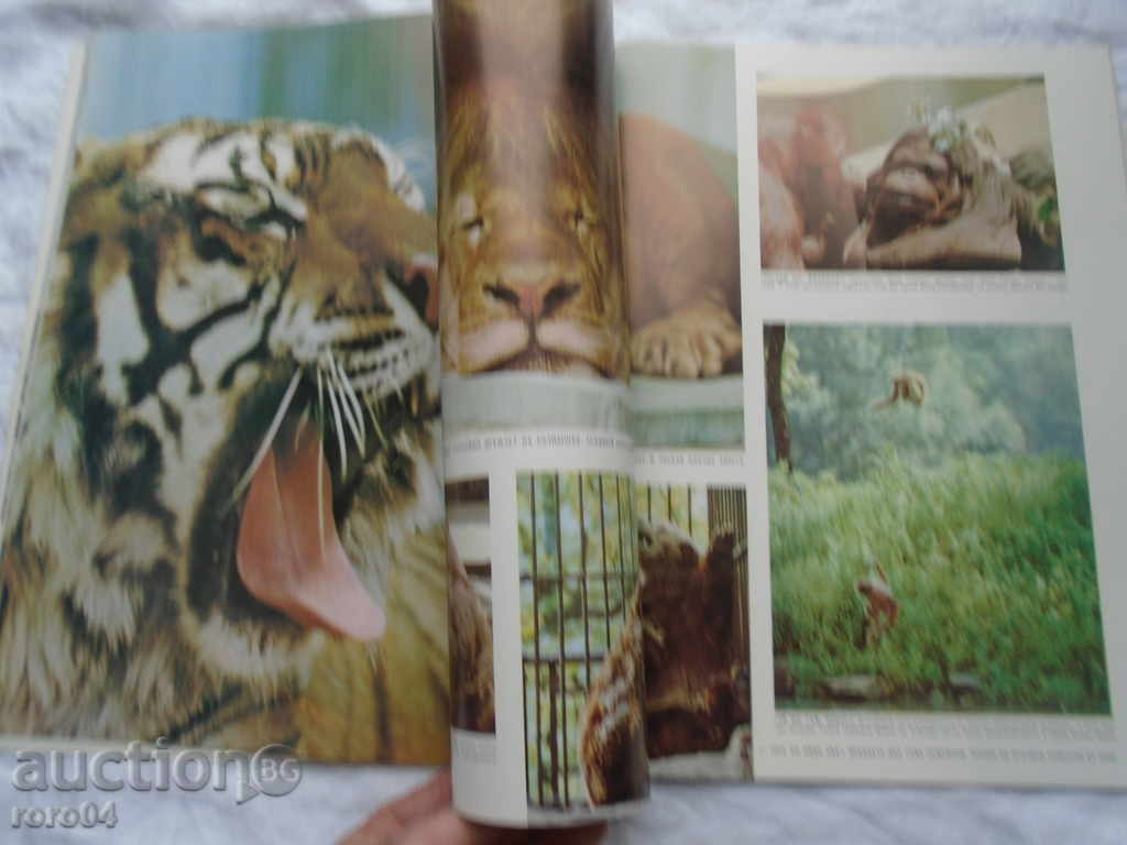 "AMERICA" MESSAGE RRR - 5 "AMERICA" MESSAGE RRR - 5