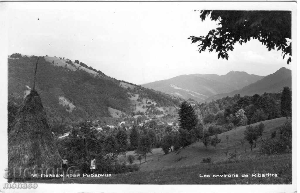 Old postcard - Landscape near Ribaritsa
