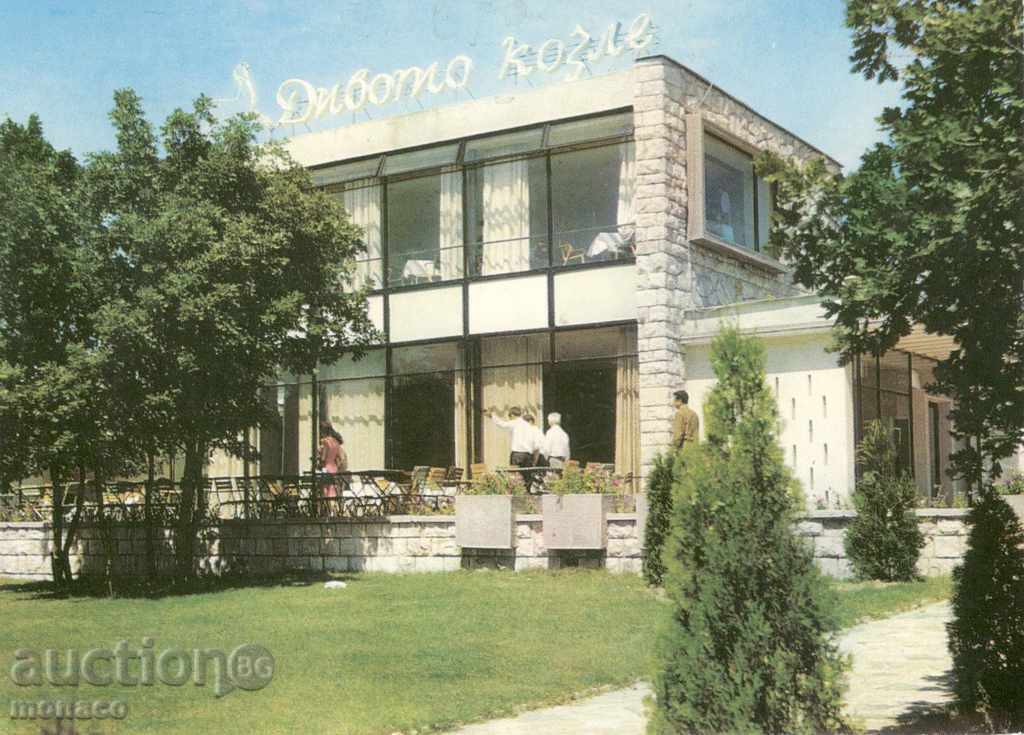 Old postcard - Haskovo, "The Wild Goat"