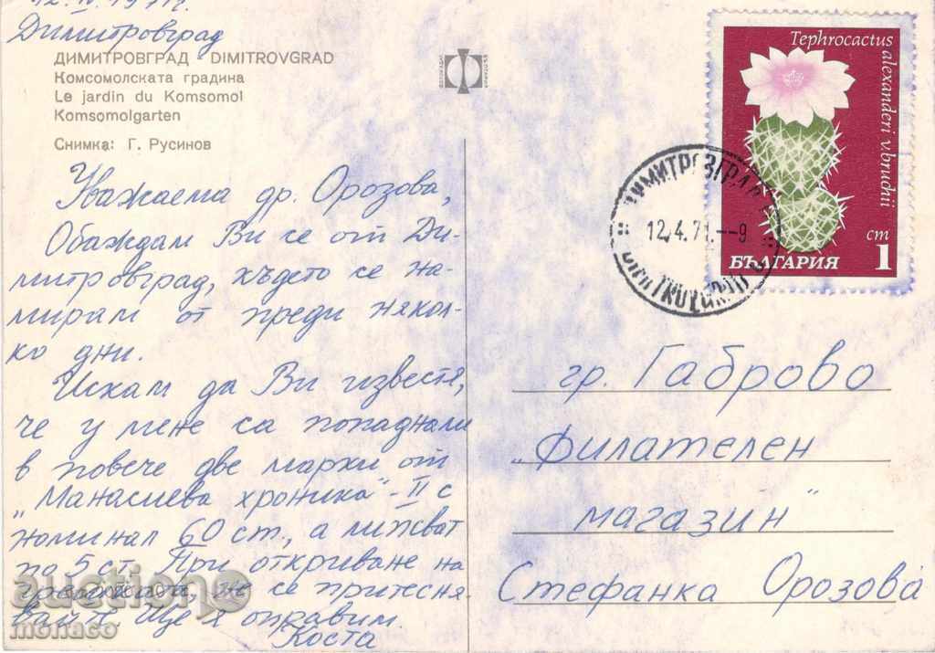 Παλιά καρτ-ποστάλ - Dimitrovgrad, κήπος Komsomolska με τιμή 0.50 BGN | € 0.26 Παλιά καρτ-ποστάλ - Dimitrovgrad, κήπος Komsomolska με τιμή 0.50 BGN | € 0.26