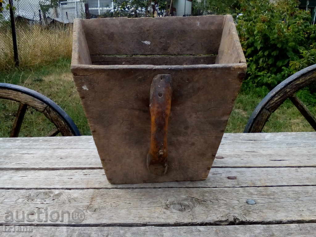 An ancient marigold - 6 An ancient marigold - 6