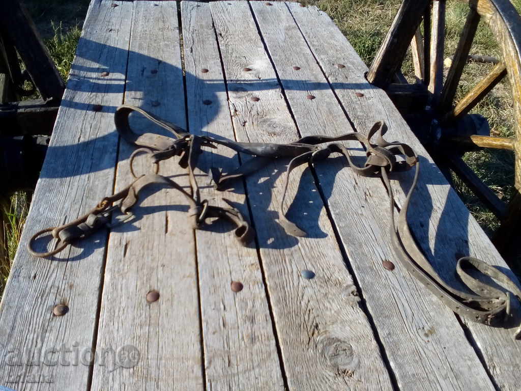 Auction Ancient bridle Auction Ancient bridle