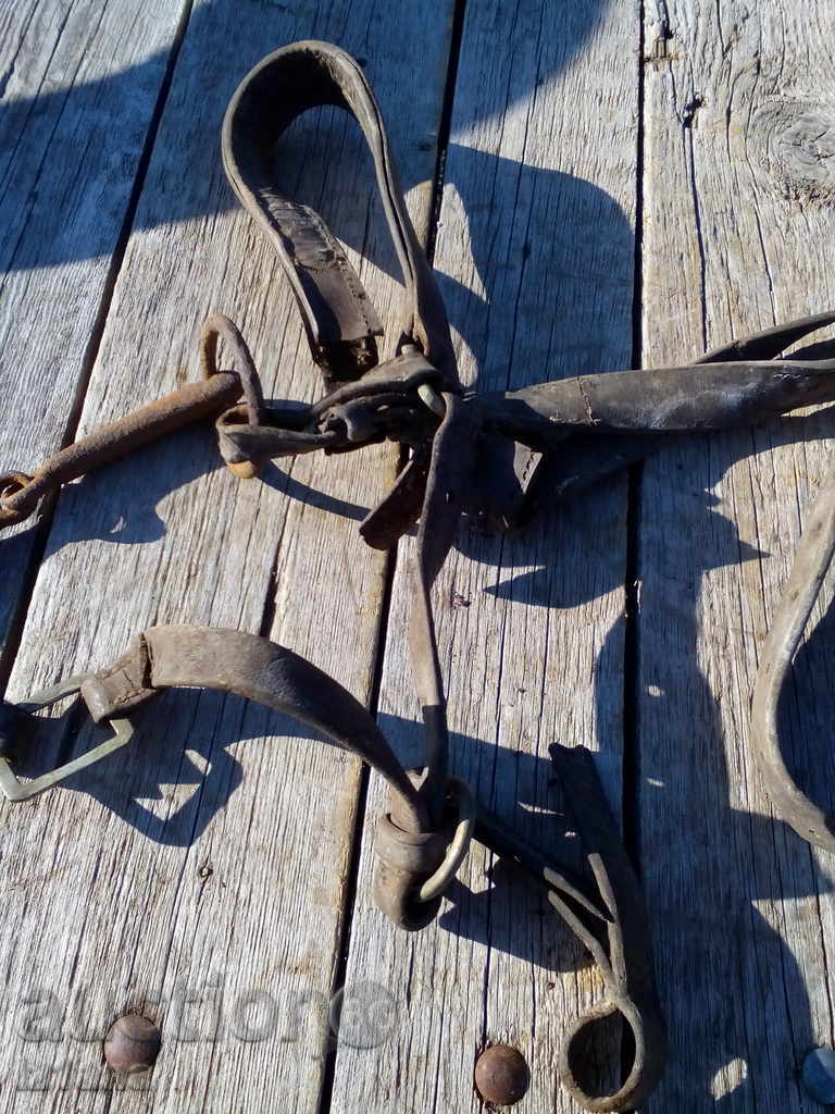 Delivery of Ancient bridle Delivery of Ancient bridle