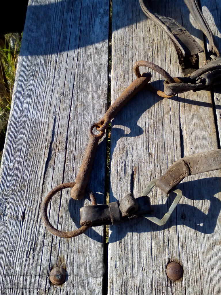 Ancient bridle - 5 Ancient bridle - 5