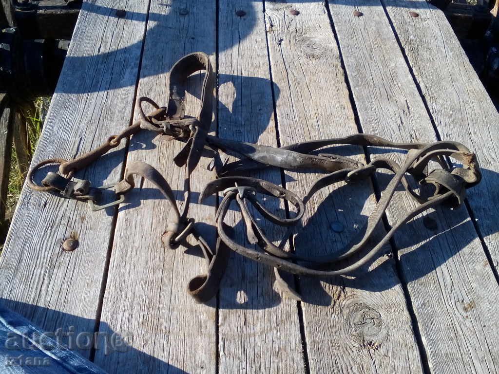 Ancient bridle - 6 Ancient bridle - 6