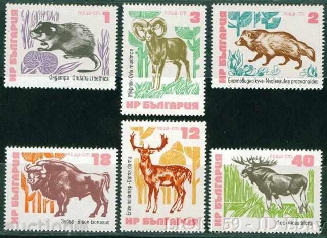 2315 Bulgaria 1973 Rare mammals **