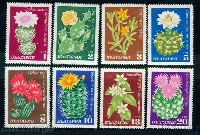 2057 Bulgaria 1970 Cactus **