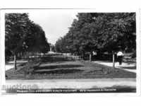 Old postcard - Razgrad, Alley in the Park