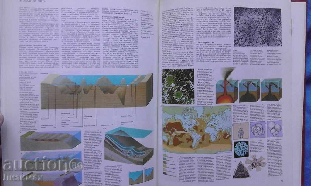 Our planet - 7 Our planet - 7