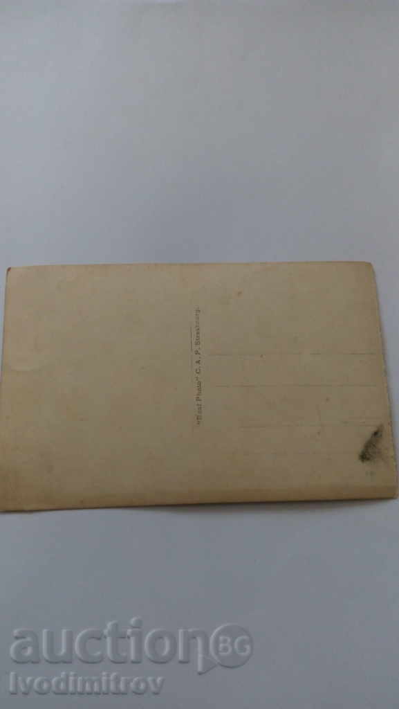 The Nice Le Palais de la Jetee and the Promenade des Anglais with price 0.75 BGN | € 0.38 The Nice Le Palais de la Jetee and the Promenade des Anglais with price 0.75 BGN | € 0.38