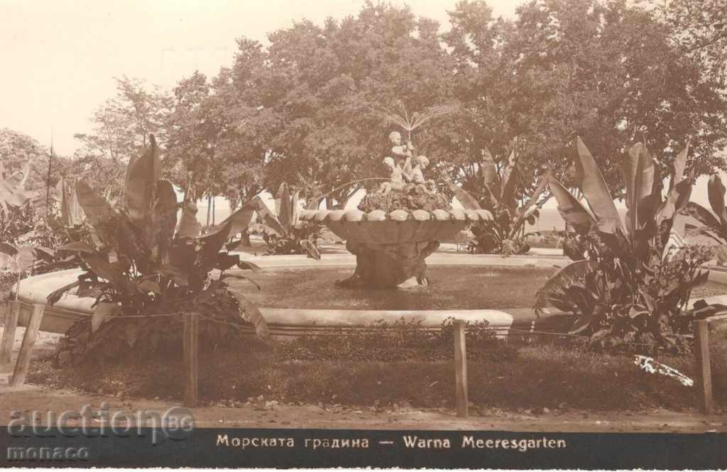 Антикварна пощенска картичка - Варна, Морската градина