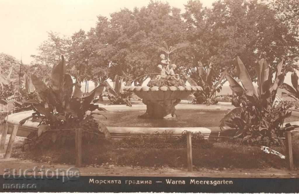 Antique postcard - Varna, Sea Garden Antique postcard - Varna, Sea Garden