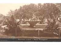 Αντίκα καρτ ποστάλ - Βάρνα, Θαλάσσιος Κήπος