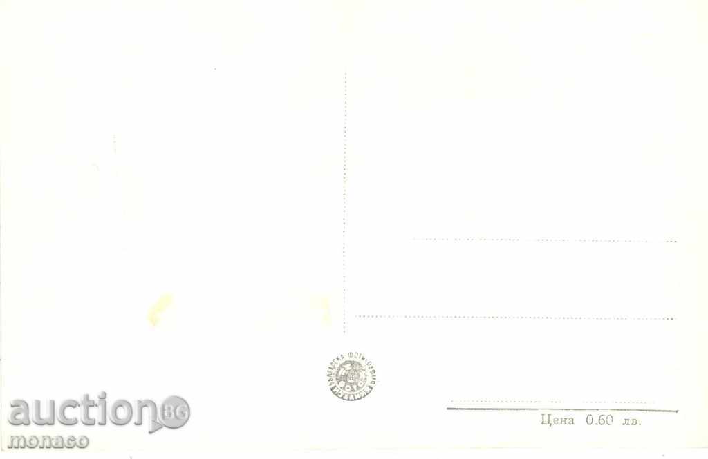 Old postcard - Stalin, the sea garden with price 2.30 BGN | € 1.18 Old postcard - Stalin, the sea garden with price 2.30 BGN | € 1.18