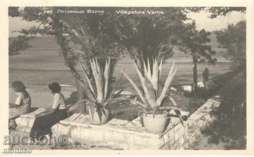 Old postcard - Varna resort, from the park