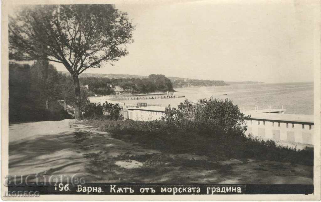 Antique postcard - Varna, a corner of the Sea Garden