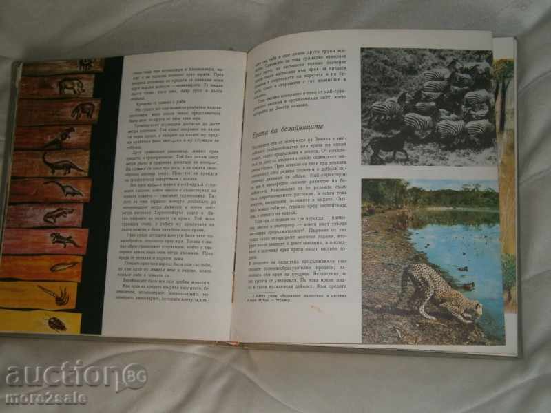 DIMITAR PEEV - THE WORLD WHOSE WE COME - 318 STP / 1970 - 6 DIMITAR PEEV - THE WORLD WHOSE WE COME - 318 STP / 1970 - 6