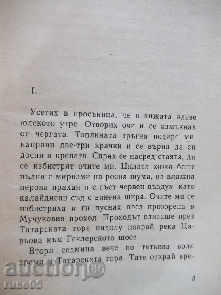 Auction  Book "Soul - Dimitar Valev" - 220 pages