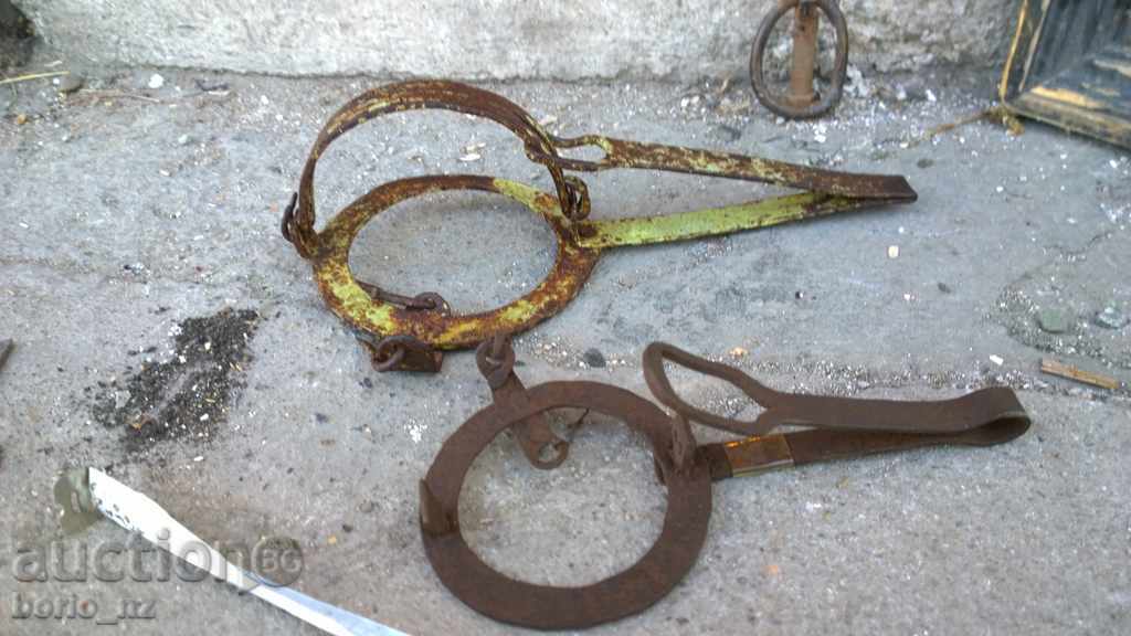 7735. STAR CABBAGE CAMP SMALL AND MEDIUM PRICE IS FOR THE TWO with price 30.00 BGN | € 15.34 7735. STAR CABBAGE CAMP SMALL AND MEDIUM PRICE IS FOR THE TWO with price 30.00 BGN | € 15.34