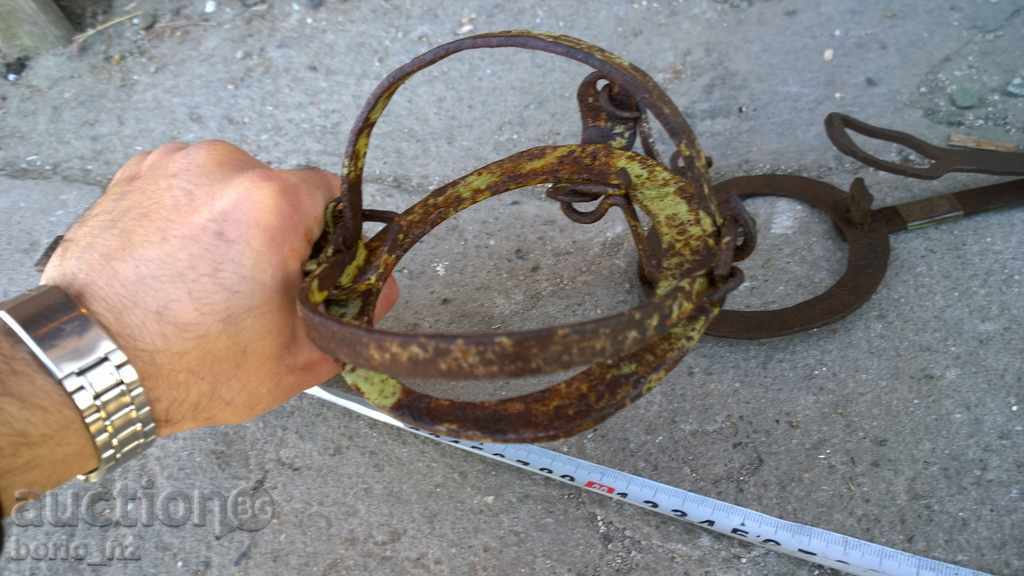 Delivery of 7735. STAR CABBAGE CAMP SMALL AND MEDIUM PRICE IS FOR THE TWO Delivery of 7735. STAR CABBAGE CAMP SMALL AND MEDIUM PRICE IS FOR THE TWO