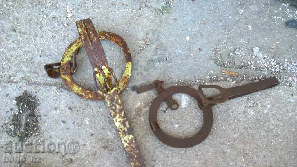 7735. STAR CABBAGE CAMP SMALL AND MEDIUM PRICE IS FOR THE TWO - 5 7735. STAR CABBAGE CAMP SMALL AND MEDIUM PRICE IS FOR THE TWO - 5